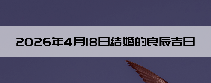 2026��4��18�ս������Ӳ�ѯ