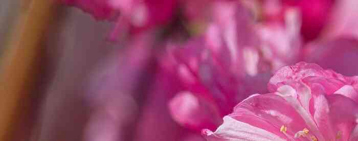 �����˹�����������𲭽������к�������Σ�