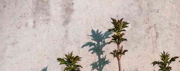 �ƹ�����2��8���������ڼ�������