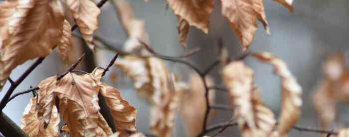 �������ռ�����һ��˻�Ӱ�������