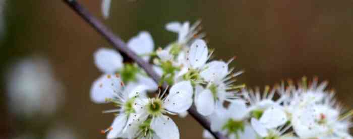 �����������������úõ���������Щ��