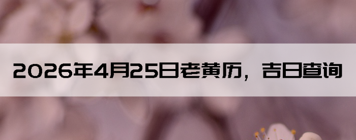 2026��4��25���ϻ��������ղ�ѯ