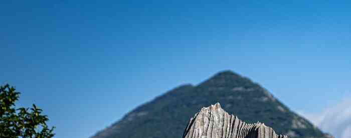 ����������������ο��һ�������