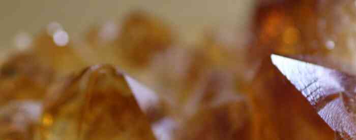 Ƣ�������Ф��ȴ������������