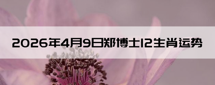 <strong>2026��4��9��֣��ʿ12��Ф</strong>