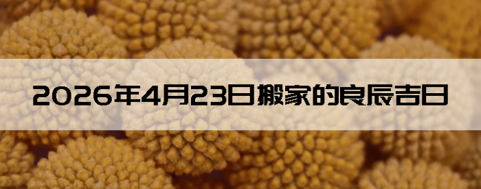 2026��4��23�հ�Һ����Ӳ�ѯ