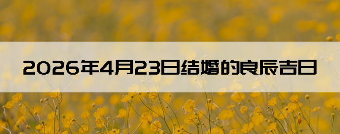 2026��4��23�ս�鼪��������