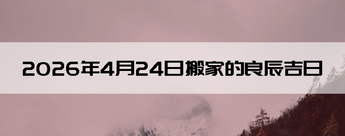 2026��4��24�հ�Ҽ��ղ�ѯ