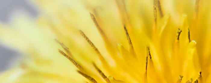 ������������������Ů���Ƹ��ж��٣�