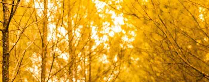 <b>��س���Խ��ԣ������Ը���ο�</b>