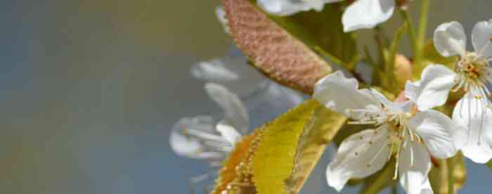 ����������Ů�˴󸻴�����������ʱ��