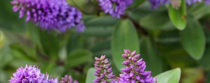 ˮ��ȼ���ռ���彡�����׽���