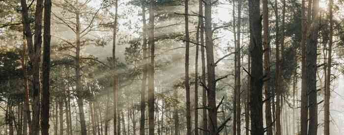 <b>�����ʲ��ʺϽ�飿��˫������</b>