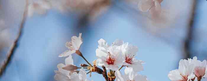 �����˹�������������������Ů�˵��������