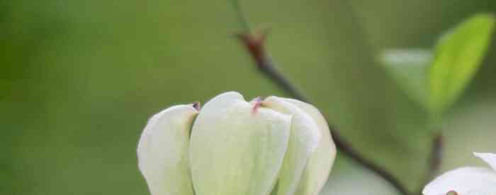 ��������������ǿ������ж����ò���