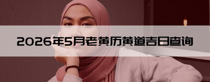 2026��5���ϻ����Ƶ����ղ�ѯ