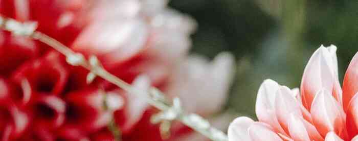 ����������ƣ�����������Ե��