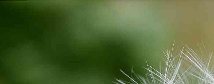 <b>��س����ռ��δ��ͬ�Ӷ��Լ���</b>