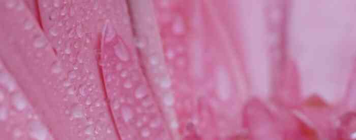 <b>���������Ф��������ǵ��˺�</b>