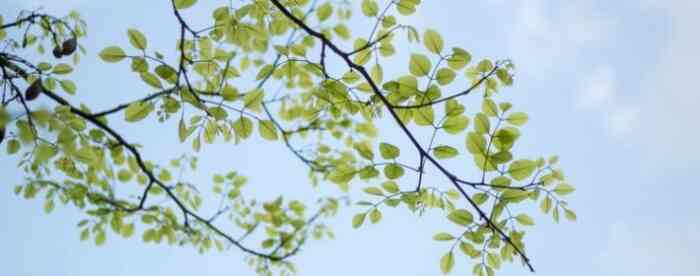 ��ˮ����Ԥ�����Щ�£�׼��׼