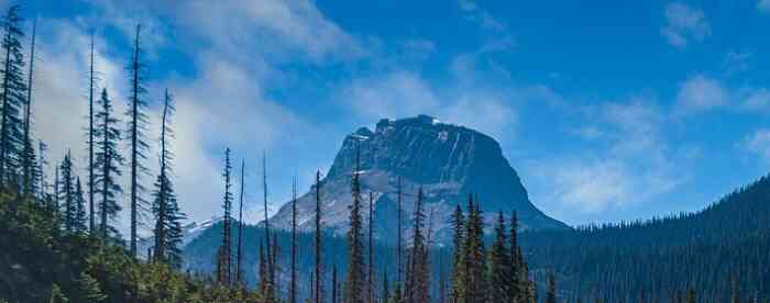 <b>�п�ɽ����Ф��һ������������</b>