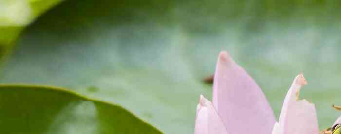 <b>��س�⹫˾��Աȡ���񼰶��Ե�</b>