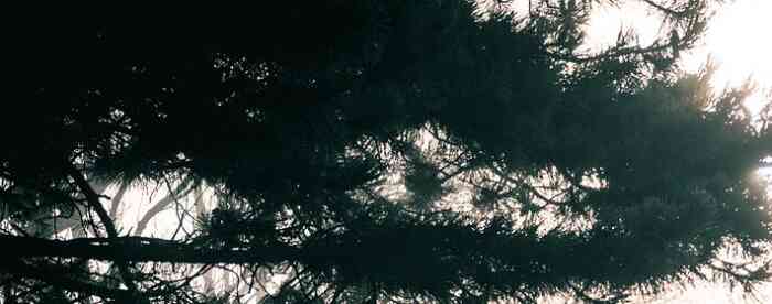 ƽ���ɸ���լ������Ҫ�ܿ�ʮ��