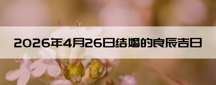 2026��4��26����������ô��