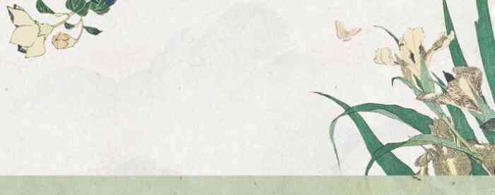 ���ռ��������2005�����������氮