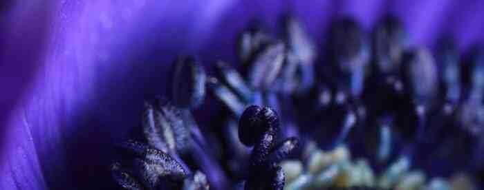 <b>����������Ƴ��������¶����</b>