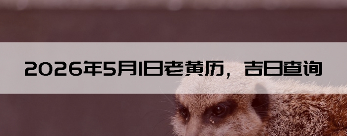 2026��5��1���ϻ��������ղ�ѯ