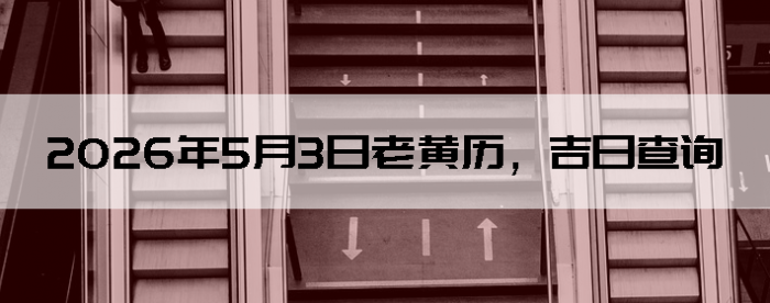 2026��5��3���ϻ��������ղ�ѯ