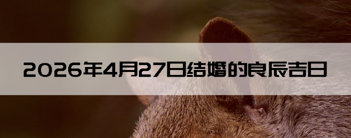 2026��4��27����������ô��