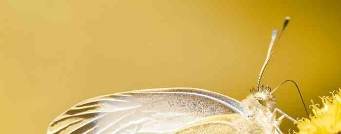 <b>�µ���Щ��Ф�����ã���������</b>