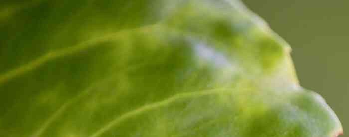 ˮ�羮����⣬�������ò���