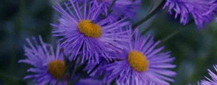 <b>������������Ů�������ڰ�������</b>