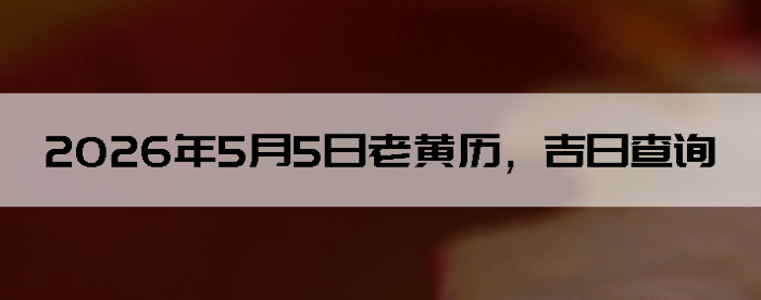 2026��5��5���ϻ��������ղ�ѯ