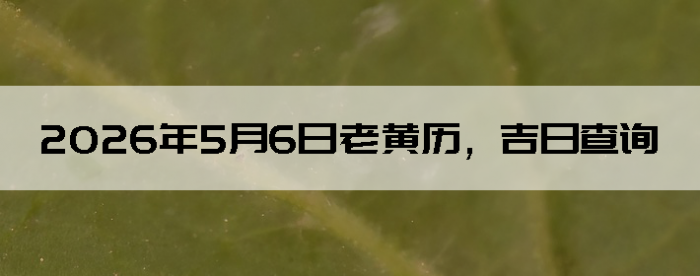 2026��5��6���ϻ��������ղ�ѯ