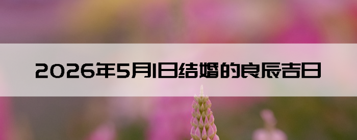 2026��5��1����������ô��