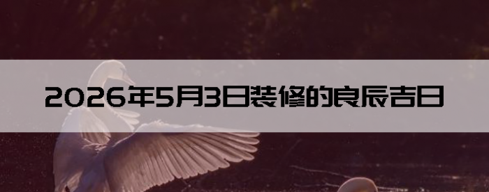 2026��5��3�������ʺ�װ����