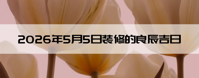 2026��5��5�������ʺ�װ����