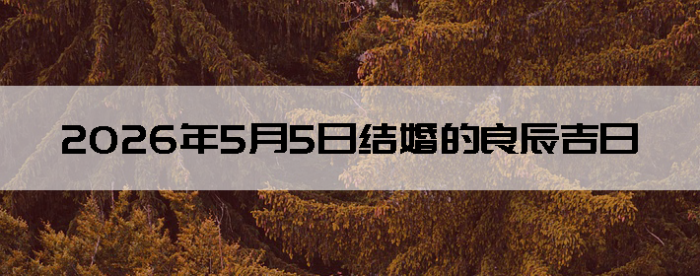 2026��5��5�ս�����������