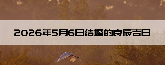 2026��5��6�ս������Ӳ�ѯ