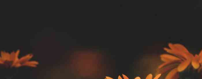 ���۲ƵľӼҷ�ˮ������Ϊɶ��