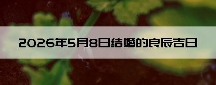 2026��5��8�ս������Ӳ�ѯ