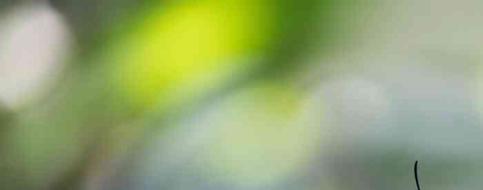 <b>����Ҫ��ѡ�����ܼ޵ļ�������</b>