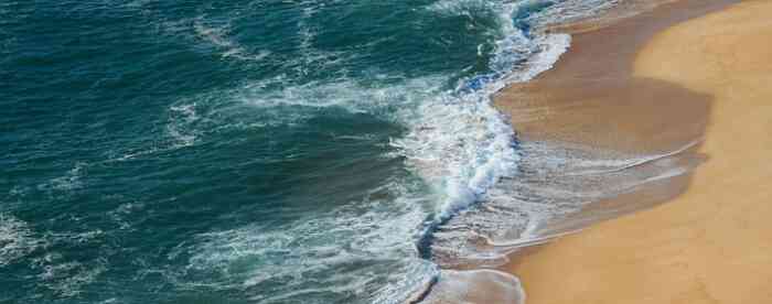 <b>ע���ң���Զ����ʨ����������</b>