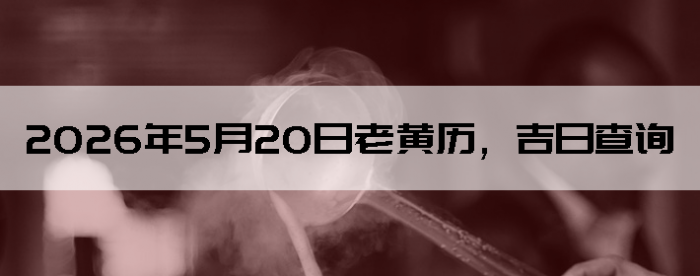 2026��5��20���ϻ��������ղ�ѯ