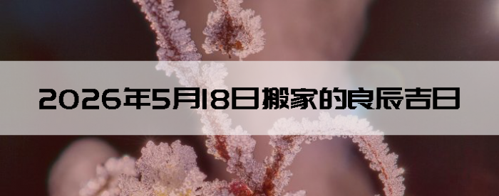 2026��5��18�հ�Һ����Ӳ�ѯ