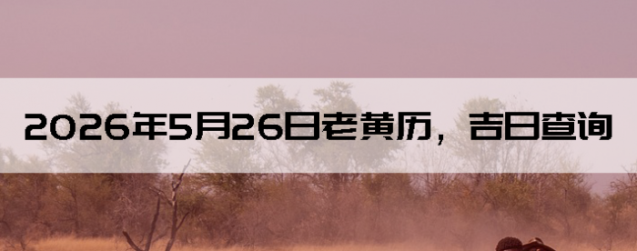 2026��5��26���ϻ��������ղ�ѯ